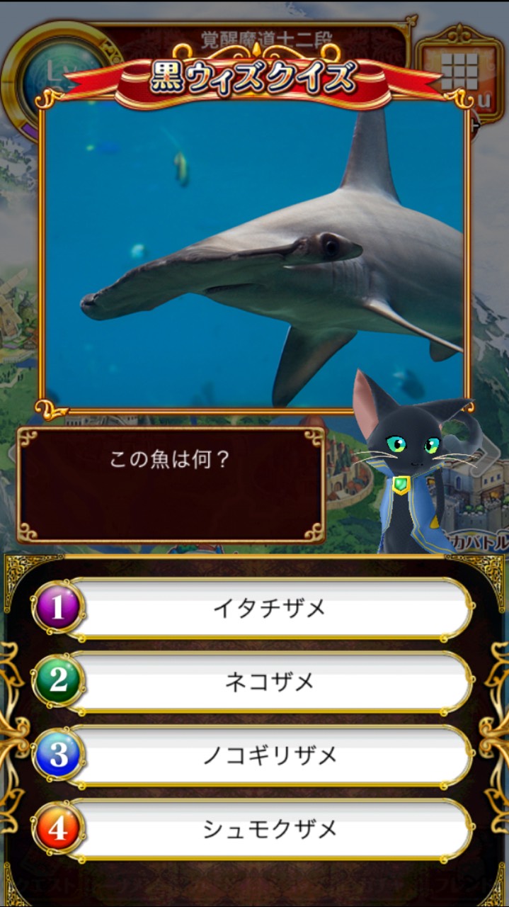 この魚は何？-シュモクザメ-イタチザメ-ネコザメ-ノコギリザメ-黒ウィズクイズ